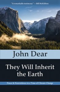 Book Cover: They Will Inherit the Earth